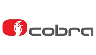 assistenza gomme cobra